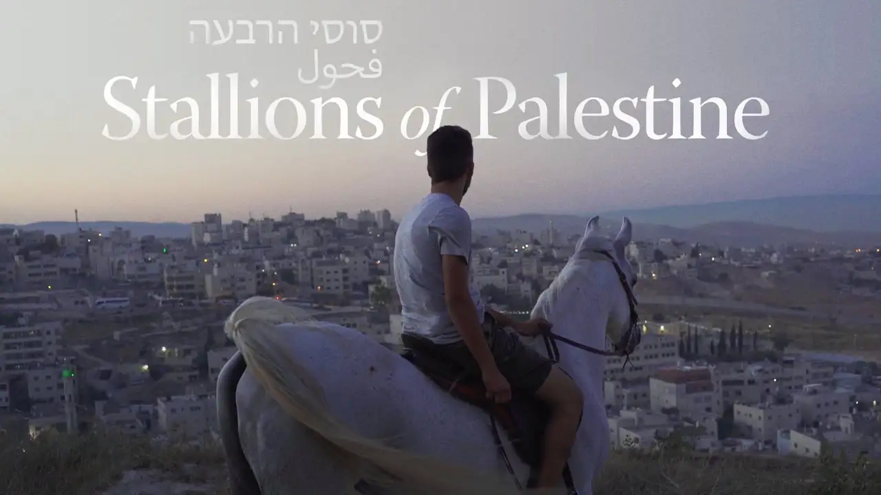 Stallions Of Palestine